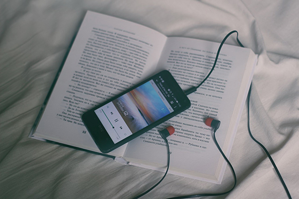 konstantin-dyadyun-261479-unsplash (1).jpg
