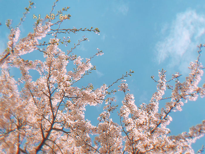 KakaoTalk_20190419_133645507.jpg