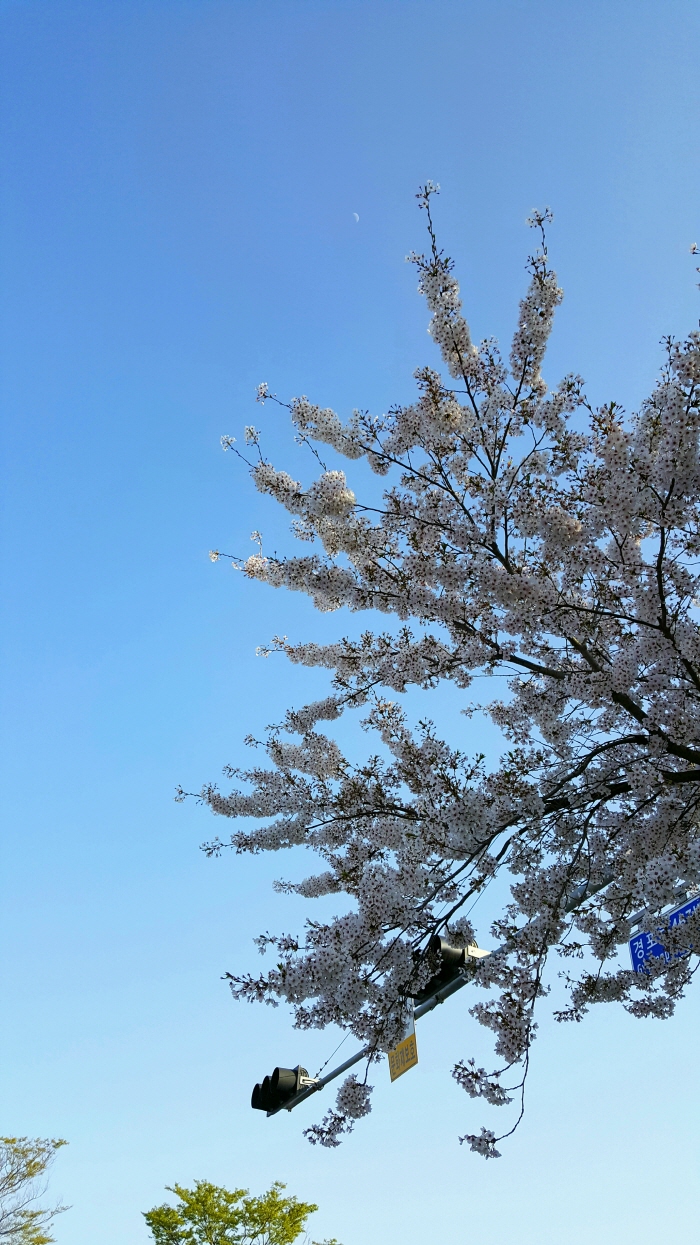 [크기변환]KakaoTalk_20190423_232445922.jpg
