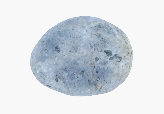2019-04-10 00;02;38.jpg
