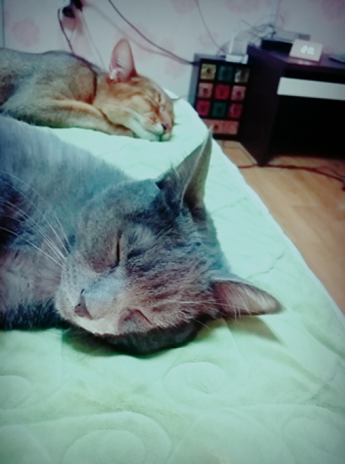 KakaoTalk_20190516_165835944.png