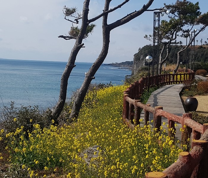 숨비정원2.jpg