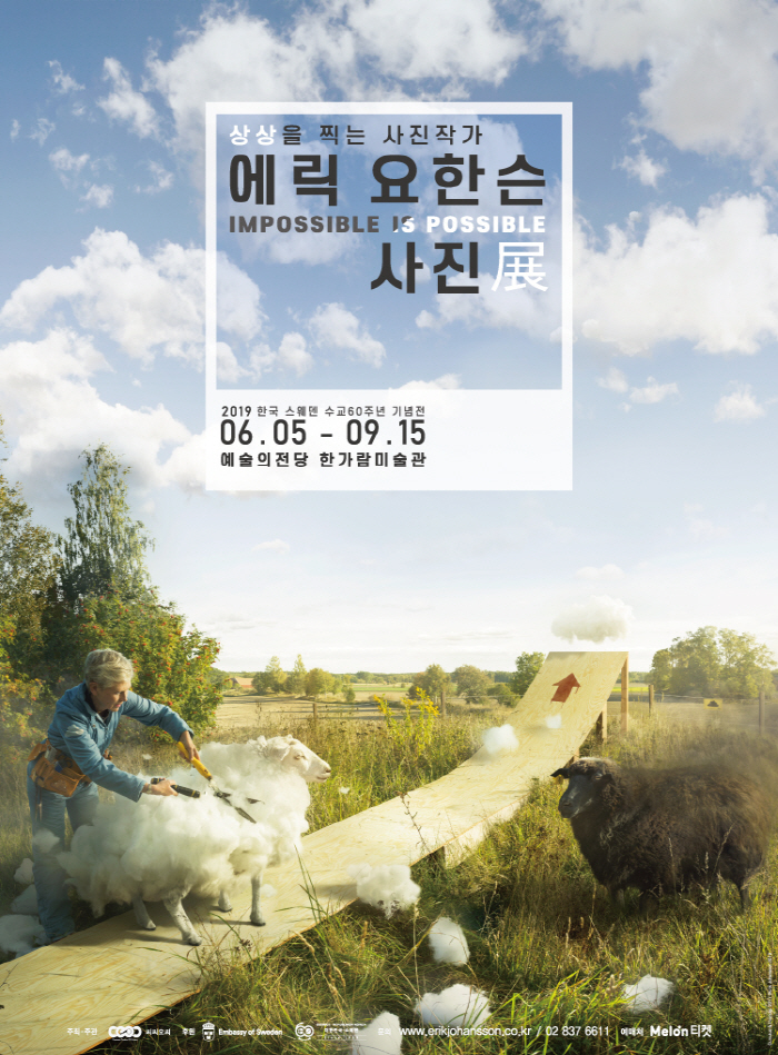 양_700.jpg