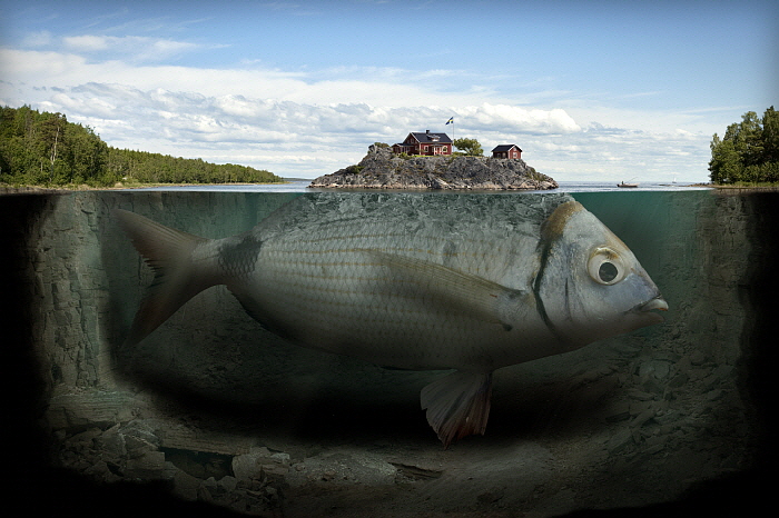 Fishy Island.jpg