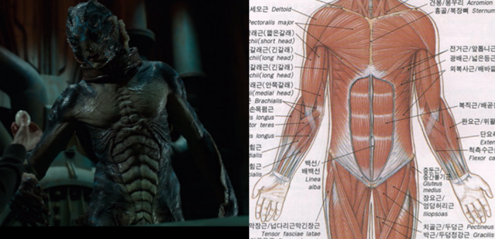 크기변환_근육.png