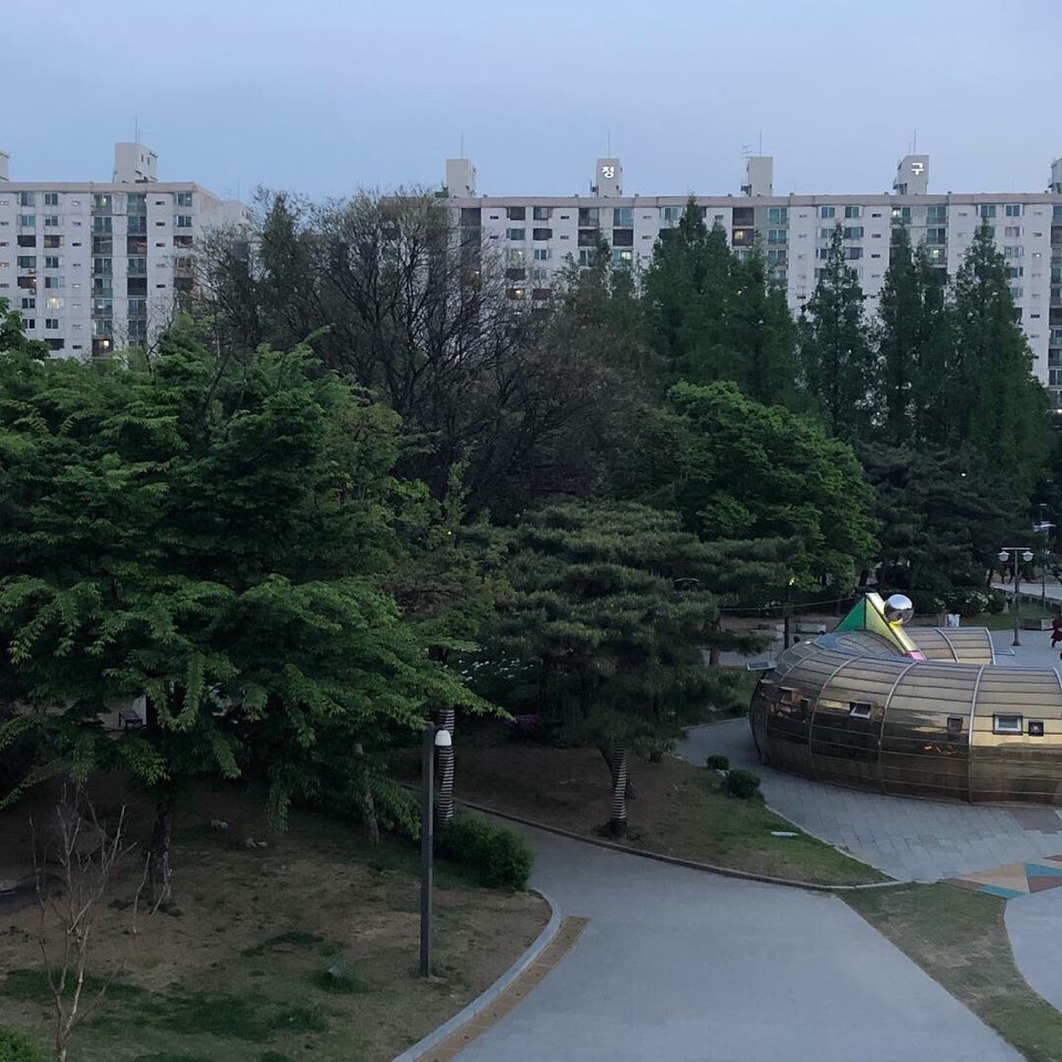 나무와 아파트.jpg
