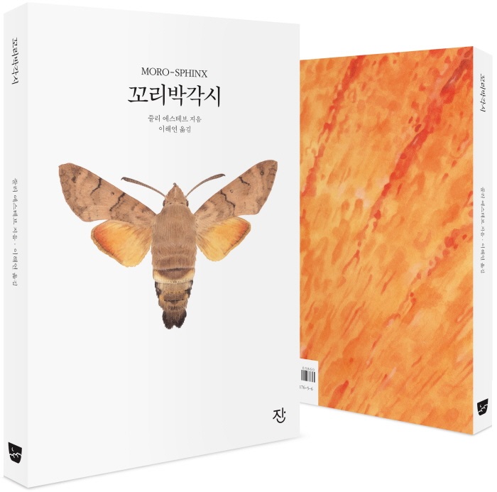 꼬리박각시_팩샷_앞뒤_190329_도서출판잔.jpg