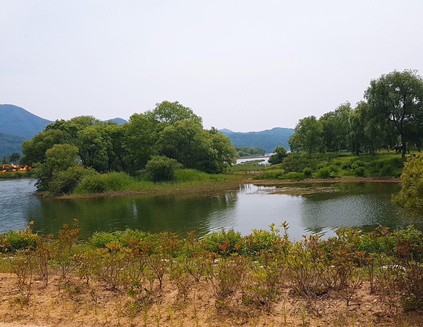 KakaoTalk_20190607_1254384121.jpg