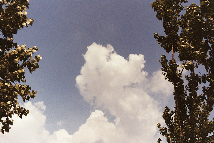 AAA036A.jpg