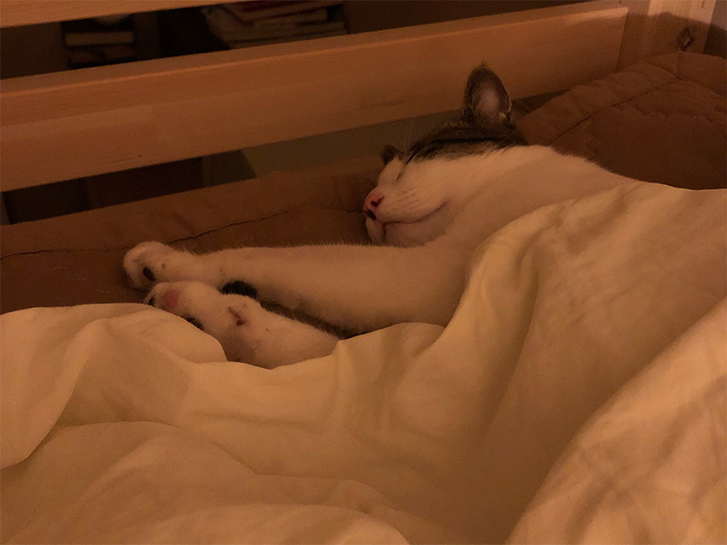 KakaoTalk_20190608_210849687.jpg