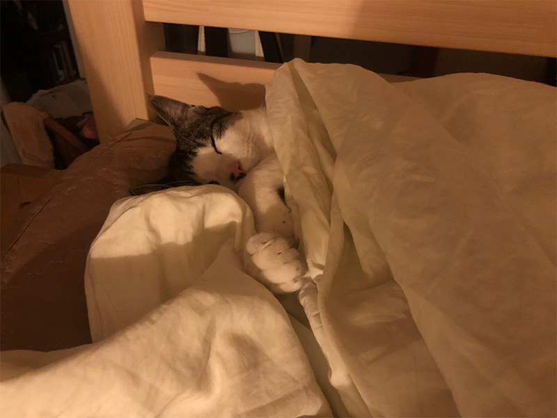 KakaoTalk_20190608_210759442.jpg