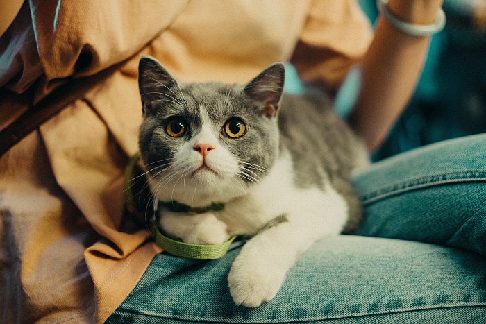 KakaoTalk_20190603_173150866.jpg