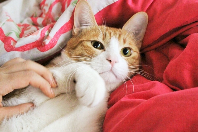 KakaoTalk_20151130_151742847 (2).jpg