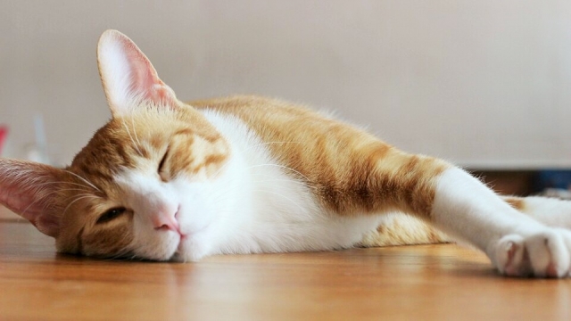 KakaoTalk_20151130_151745506 (2).jpg