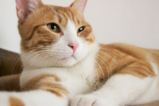KakaoTalk_20151130_151744816 (2).jpg