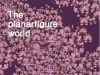 (~10.3) the planarfigure world [시각예술, R3028 WHITE CUBE]