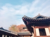 [Opinion] "2017 대한민국 한옥 박람회"느린 시간을 담는 집, 그 시작과 창덕궁 기행 [전통예술]