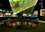 [Preview] 모네가 사랑한 정원, 아름다운 영상으로 다시 만나다 '모네 빛을 그리다展'