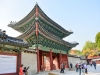 [Opinion] 서울 궁궐 탐방기(2) - 창경궁 [여행]