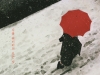[Preview] All about Saul Leiter '사울 레이터의 모든 것'