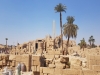 [Opinion] 난생처음 중동여행 (3): 이집트 여행 마무리 [여행]