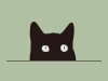 [리뷰 URL 취합] 나는 슈뢰딩거의 고양이로소이다