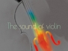 [PRESS] 무반주 바이올린의 아름다움을 만끽하다: 박소영 바이올린 독주회