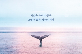 [도서] 고래가 가는 곳