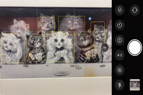 [Review] 고양이를 그렸기에 가장 인간 다웠던 화가 - 루이스 웨인전