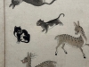 [Opinion] 조선시대 고양이 그림을 볼 수 있는 곳 [전시]