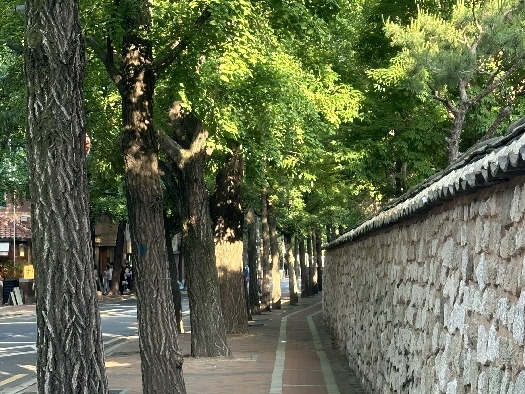 [Opinion] 여름은 보사노바지 [음악]