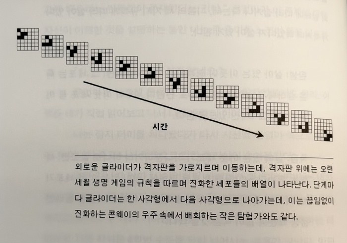 [Review] 창발이라는 이름의 희망 - 카오스의 가장자리 [도서]