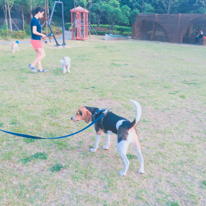 KakaoTalk_20160529_231107357.jpg