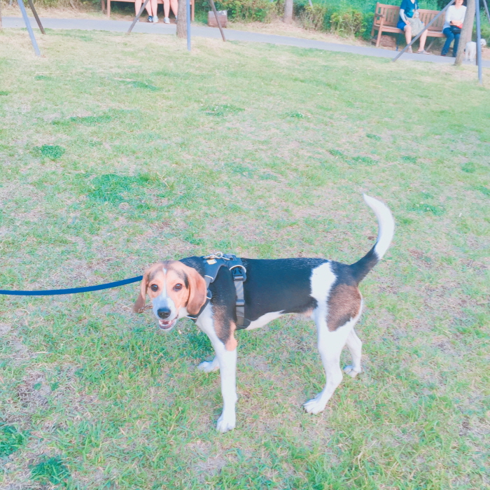 KakaoTalk_20160529_231109613.jpg