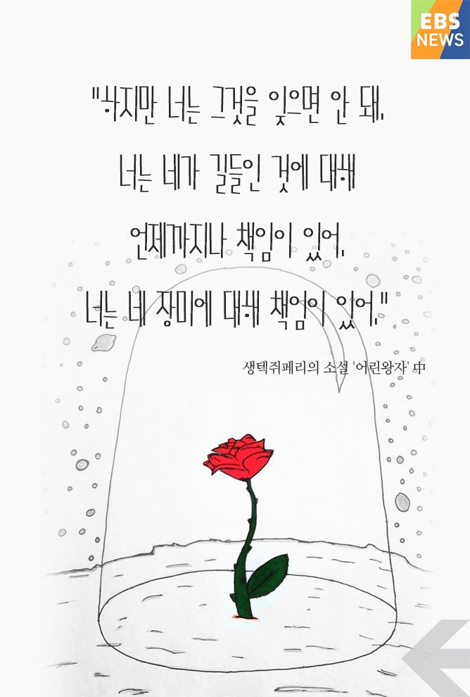 어린왕자 장미.jpg