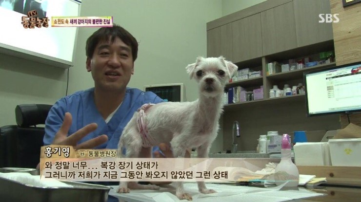 제왕절개.jpg