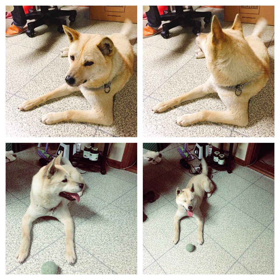멍무이.jpg