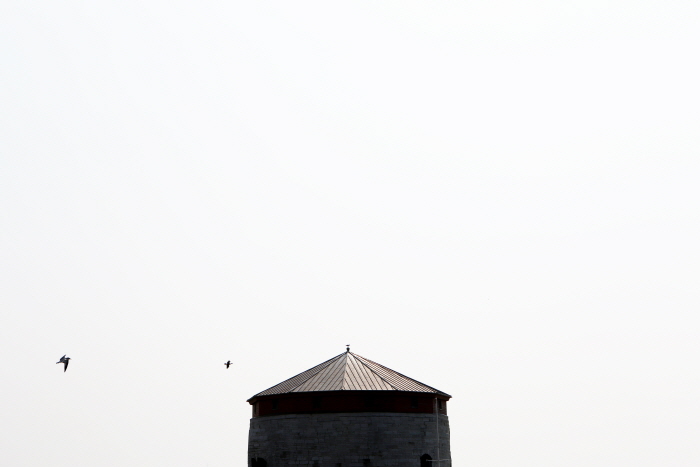 2015-12-Life-of-Pix-free-stock-photos-tower-sky-birds-AlexisDoyen.jpg