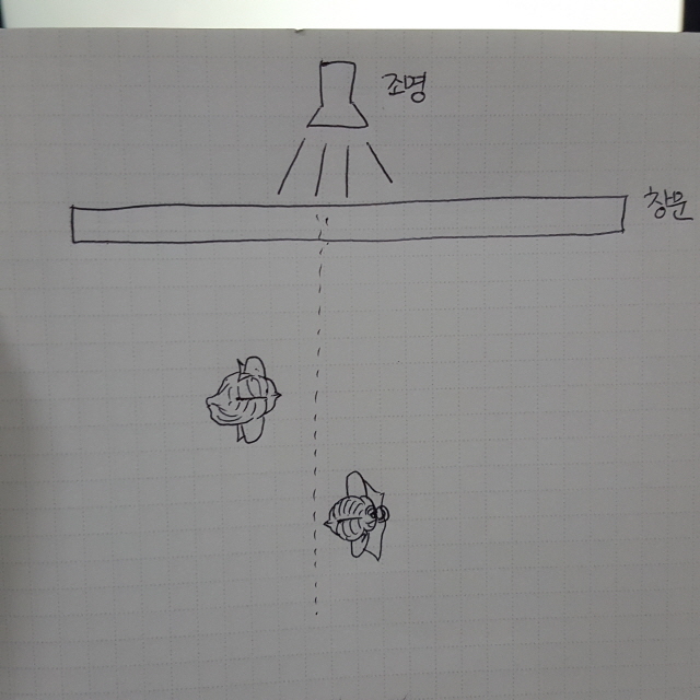 KakaoTalk_20160615_233447310.jpg