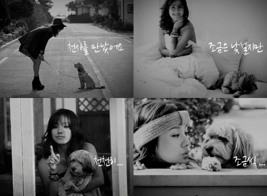 반려견.jpg