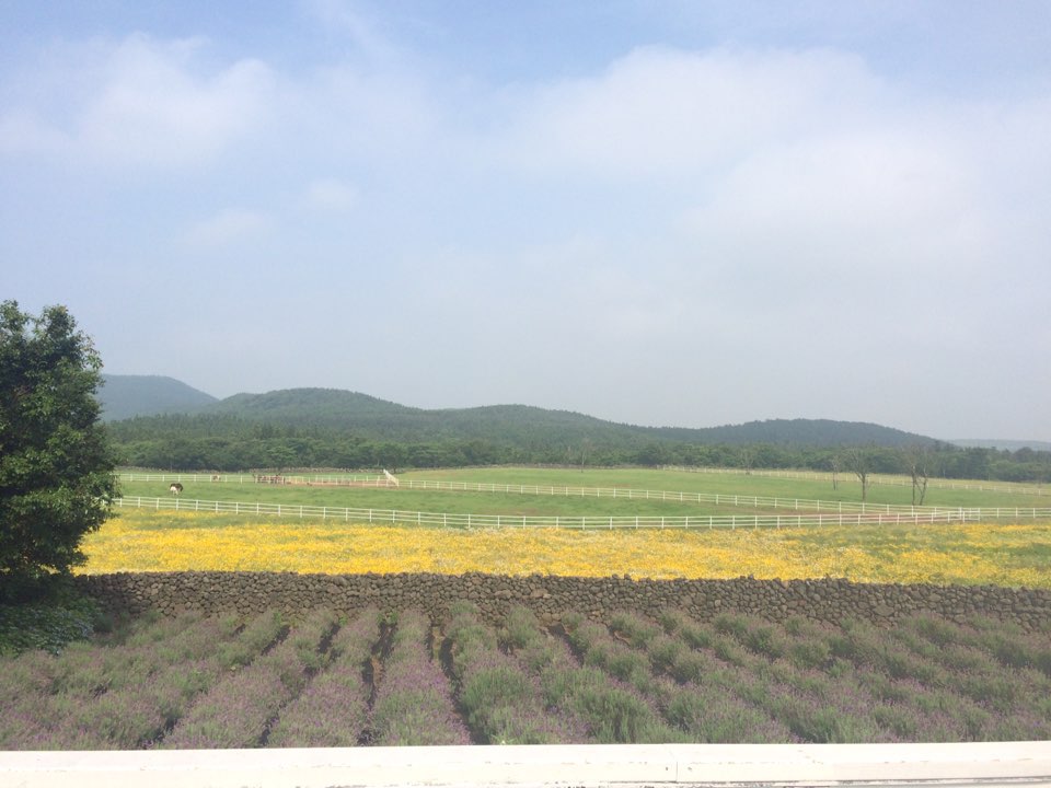 KakaoTalk_20160619_231342454.jpg