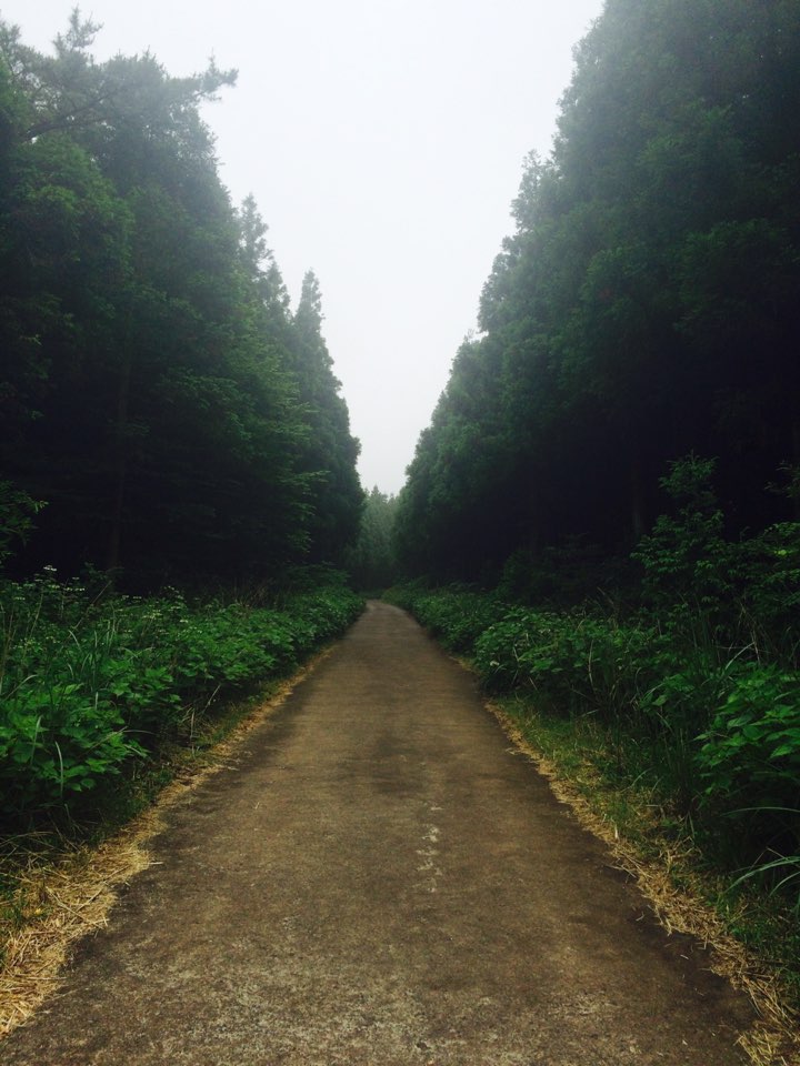 KakaoTalk_20160619_230437653.jpg