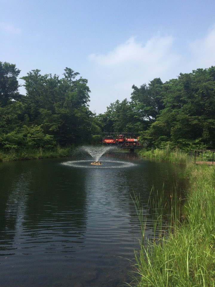 KakaoTalk_20160619_231559534.jpg