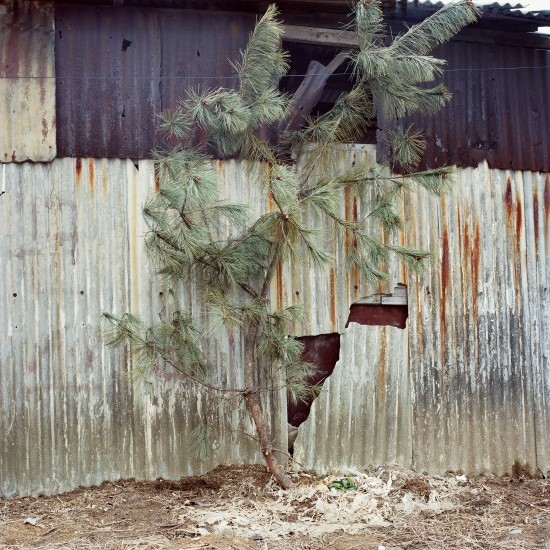 ¼ÕÀ̼÷._¹öƾ´Ù´Â°Í_70x70cm_c_print_2016.jpg