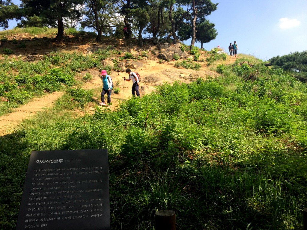 초가을 산.jpg
