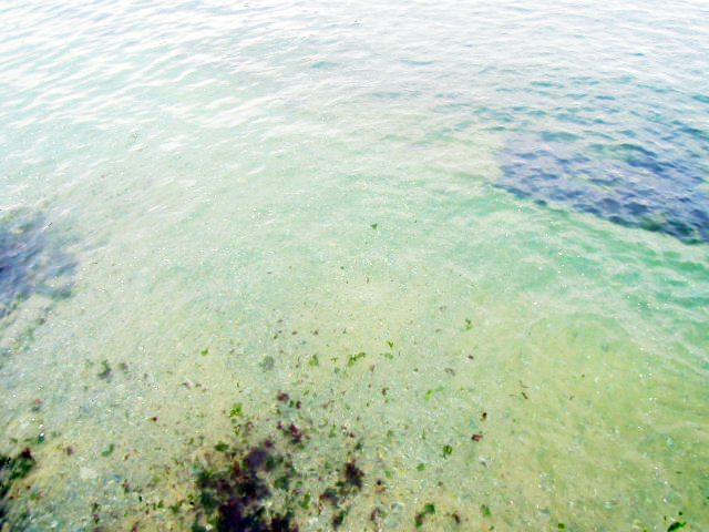 DSCN2707.JPG