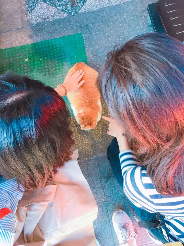 스펀역고양이.jpg