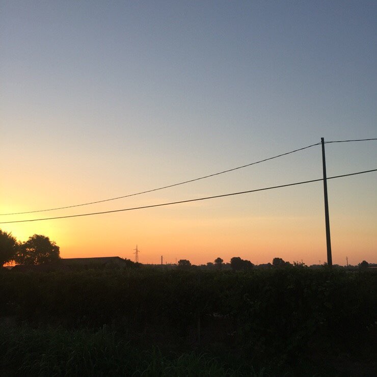 KakaoTalk_20170310_042521300.jpg