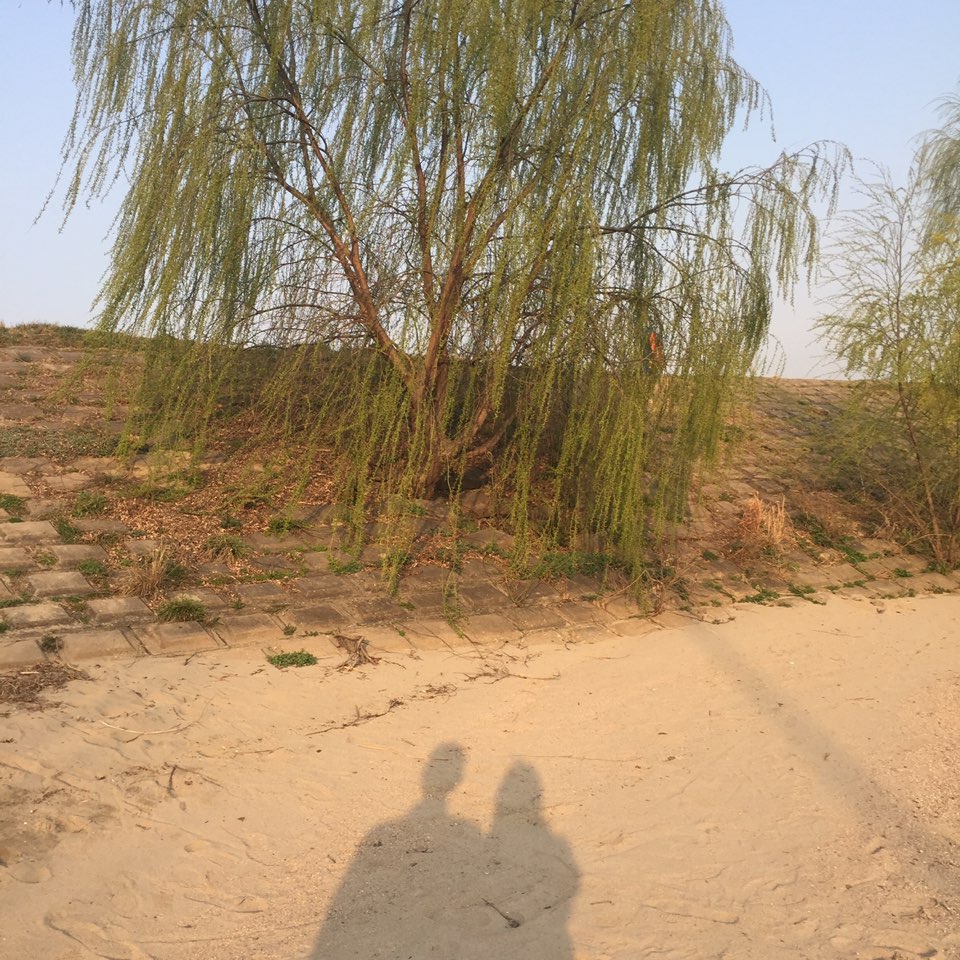 KakaoTalk_20170407_234247833.jpg