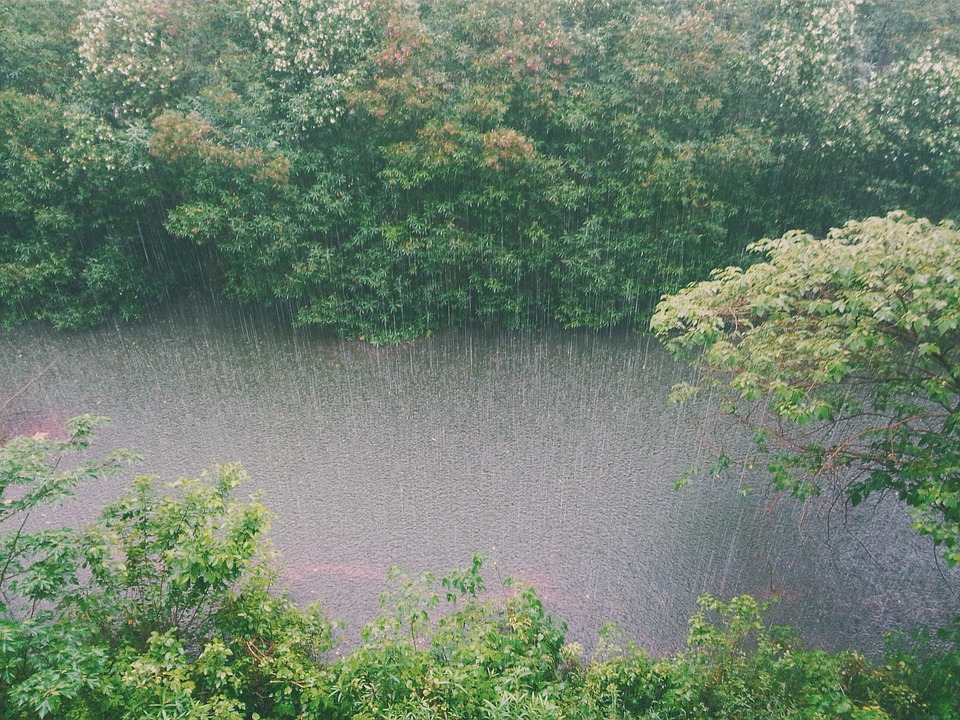 raining-828890_960_720.jpg
